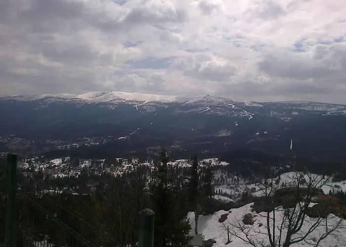 בית אירוח Za Bukiem שצ'קלארסקה פוראובה